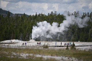 Filename=DSC_8558.JPG
Filesize=17126KiB
Dimensions=7360x4912
Date added=Sep 22, 2019 DSC_8558.JPG