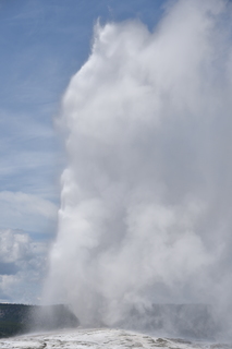 Filename=DSC_8572.JPG
Filesize=11598KiB
Dimensions=4912x7360
Date added=Sep 22, 2019 DSC_8572.JPG