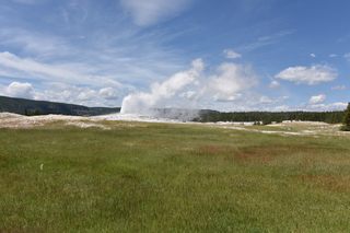 Filename=DSC_8597.JPG
Filesize=21561KiB
Dimensions=7360x4912
Date added=Sep 22, 2019 DSC_8597.JPG