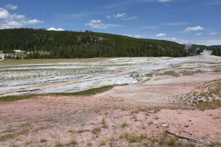 Filename=DSC_8607.JPG
Filesize=24496KiB
Dimensions=7360x4912
Date added=Sep 22, 2019 DSC_8607.JPG