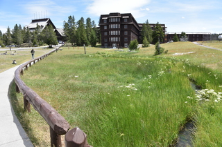 Filename=DSC_8612.JPG
Filesize=25454KiB
Dimensions=7360x4912
Date added=Sep 22, 2019 DSC_8612.JPG