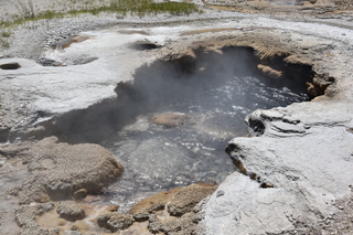 Filename=DSC_8619.JPG
Filesize=25245KiB
Dimensions=7360x4912
Date added=Sep 22, 2019 DSC_8619.JPG