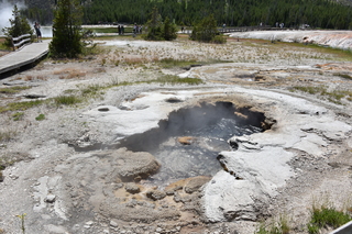 Filename=DSC_8620.JPG
Filesize=27607KiB
Dimensions=7360x4912
Date added=Sep 22, 2019 DSC_8620.JPG