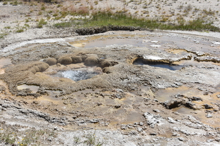 Filename=DSC_8621.JPG
Filesize=29142KiB
Dimensions=7360x4912
Date added=Sep 22, 2019 DSC_8621.JPG