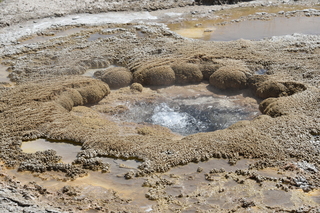 Filename=DSC_8623.JPG
Filesize=25912KiB
Dimensions=7360x4912
Date added=Sep 22, 2019 DSC_8623.JPG