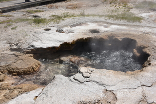 Filename=DSC_8638.JPG
Filesize=25535KiB
Dimensions=7360x4912
Date added=Sep 22, 2019 DSC_8638.JPG