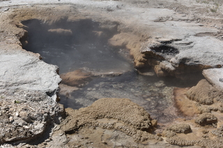 Filename=DSC_8641.JPG
Filesize=23395KiB
Dimensions=7360x4912
Date added=Sep 22, 2019 DSC_8641.JPG