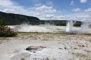 Filename=DSC_8647.JPG
Filesize=23129KiB
Dimensions=7360x4912
Date added=Sep 22, 2019 DSC_8647.JPG