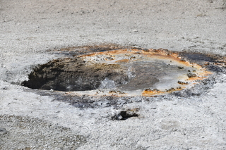 Filename=DSC_8648.JPG
Filesize=21623KiB
Dimensions=7360x4912
Date added=Sep 22, 2019 DSC_8648.JPG