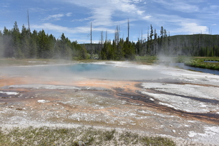 Filename=DSC_8651.JPG
Filesize=23554KiB
Dimensions=7360x4912
Date added=Sep 22, 2019 DSC_8651.JPG