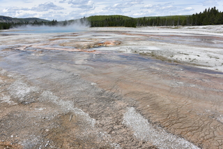 Filename=DSC_8661.JPG
Filesize=25810KiB
Dimensions=7360x4912
Date added=Sep 22, 2019 DSC_8661.JPG