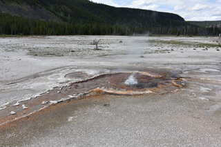 Filename=DSC_8662.JPG
Filesize=26522KiB
Dimensions=7360x4912
Date added=Sep 22, 2019 DSC_8662.JPG