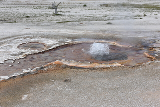 Filename=DSC_8663.JPG
Filesize=27759KiB
Dimensions=7360x4912
Date added=Sep 22, 2019 DSC_8663.JPG