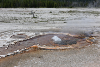 Filename=DSC_8664.JPG
Filesize=26668KiB
Dimensions=7360x4912
Date added=Sep 22, 2019 DSC_8664.JPG