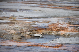 Filename=DSC_8665.JPG
Filesize=19432KiB
Dimensions=7360x4912
Date added=Sep 22, 2019 DSC_8665.JPG