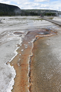 Filename=DSC_8666.JPG
Filesize=23957KiB
Dimensions=4912x7360
Date added=Sep 22, 2019 DSC_8666.JPG