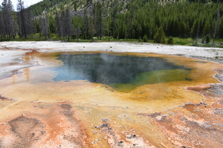 Filename=DSC_8668.JPG
Filesize=25031KiB
Dimensions=7360x4912
Date added=Sep 22, 2019 DSC_8668.JPG