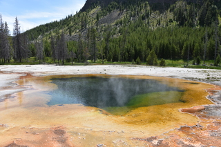 Filename=DSC_8669.JPG
Filesize=24584KiB
Dimensions=7360x4912
Date added=Sep 22, 2019 DSC_8669.JPG