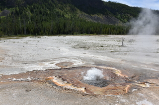 Filename=DSC_8679.JPG
Filesize=25400KiB
Dimensions=7360x4912
Date added=Sep 22, 2019 DSC_8679.JPG