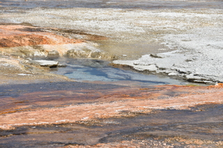 Filename=DSC_8680.JPG
Filesize=21171KiB
Dimensions=7360x4912
Date added=Sep 22, 2019 DSC_8680.JPG