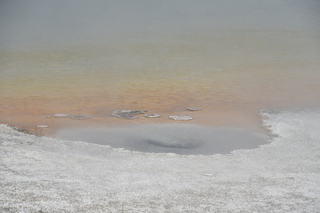 Filename=DSC_8688.JPG
Filesize=16789KiB
Dimensions=7360x4912
Date added=Sep 22, 2019 DSC_8688.JPG