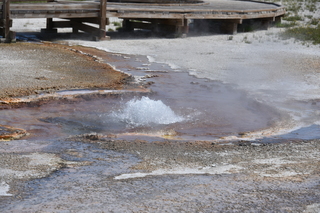 Filename=DSC_8692.JPG
Filesize=20072KiB
Dimensions=7360x4912
Date added=Sep 22, 2019 DSC_8692.JPG