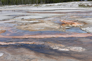 Filename=DSC_8694.JPG
Filesize=24102KiB
Dimensions=7360x4912
Date added=Sep 22, 2019 DSC_8694.JPG