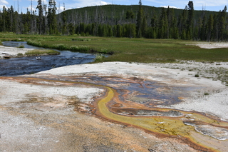 Filename=DSC_8695.JPG
Filesize=26952KiB
Dimensions=7360x4912
Date added=Sep 22, 2019 DSC_8695.JPG