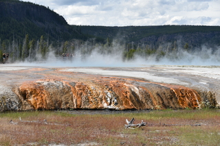 Filename=DSC_8699.JPG
Filesize=23236KiB
Dimensions=7360x4912
Date added=Sep 22, 2019 DSC_8699.JPG