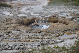 Filename=DSC_8704.JPG
Filesize=20650KiB
Dimensions=7360x4912
Date added=Sep 22, 2019 DSC_8704.JPG