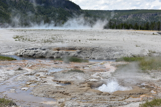 Filename=DSC_8706.JPG
Filesize=23551KiB
Dimensions=7360x4912
Date added=Sep 22, 2019 DSC_8706.JPG