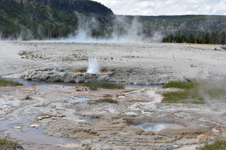 Filename=DSC_8707.JPG
Filesize=23743KiB
Dimensions=7360x4912
Date added=Sep 22, 2019 DSC_8707.JPG