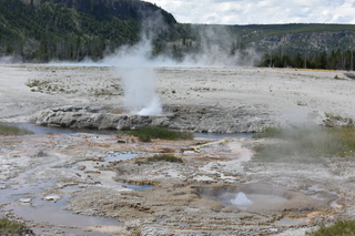 Filename=DSC_8709.JPG
Filesize=23322KiB
Dimensions=7360x4912
Date added=Sep 22, 2019 DSC_8709.JPG