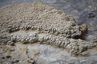 Filename=DSC_8712.JPG
Filesize=20197KiB
Dimensions=7360x4912
Date added=Sep 22, 2019 DSC_8712.JPG