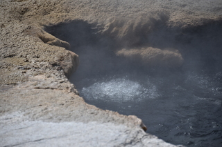 Filename=DSC_8718.JPG
Filesize=16996KiB
Dimensions=7360x4912
Date added=Sep 22, 2019 DSC_8718.JPG