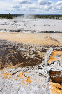 Filename=DSC_8727.JPG
Filesize=21484KiB
Dimensions=4912x7360
Date added=Sep 22, 2019 DSC_8727.JPG