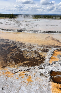 Filename=DSC_8728.JPG
Filesize=21463KiB
Dimensions=4912x7360
Date added=Sep 22, 2019 DSC_8728.JPG