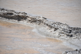 Filename=DSC_8729.JPG
Filesize=17801KiB
Dimensions=7360x4912
Date added=Sep 22, 2019 DSC_8729.JPG