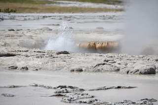 Filename=DSC_8738.JPG
Filesize=17610KiB
Dimensions=7360x4912
Date added=Sep 22, 2019 DSC_8738.JPG