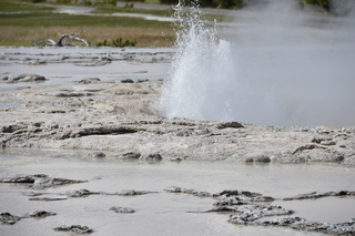 Filename=DSC_8743.JPG
Filesize=18606KiB
Dimensions=7360x4912
Date added=Sep 22, 2019 DSC_8743.JPG