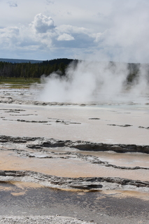 Filename=DSC_8759.JPG
Filesize=15933KiB
Dimensions=4912x7360
Date added=Sep 22, 2019 DSC_8759.JPG