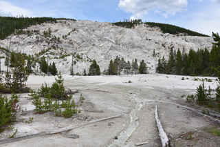 Filename=DSC_8763.JPG
Filesize=24375KiB
Dimensions=7360x4912
Date added=Sep 22, 2019 DSC_8763.JPG