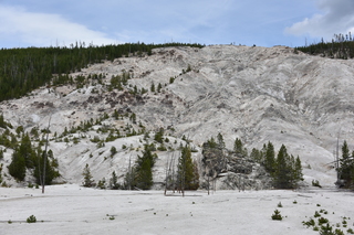 Filename=DSC_8764.JPG
Filesize=22868KiB
Dimensions=7360x4912
Date added=Sep 22, 2019 DSC_8764.JPG