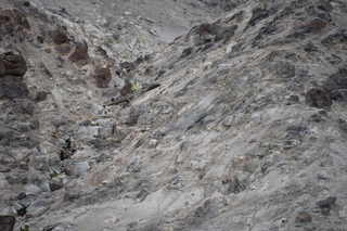 Filename=DSC_8766.JPG
Filesize=21367KiB
Dimensions=7360x4912
Date added=Sep 22, 2019 DSC_8766.JPG