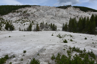 Filename=DSC_8769.JPG
Filesize=23985KiB
Dimensions=7360x4912
Date added=Sep 22, 2019 DSC_8769.JPG