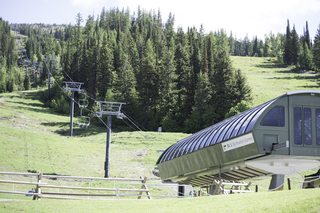 Filename=DSC_8779.jpg
Filesize=20655KiB
Dimensions=7360x4912
Date added=Sep 21, 2019 DSC_8779.jpg