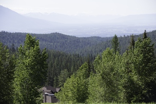 Filename=DSC_8781.jpg
Filesize=22148KiB
Dimensions=7360x4912
Date added=Sep 21, 2019 DSC_8781.jpg