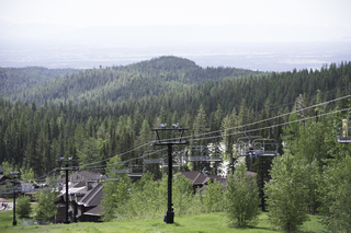 Filename=DSC_8789.jpg
Filesize=20022KiB
Dimensions=7360x4912
Date added=Sep 21, 2019 DSC_8789.jpg