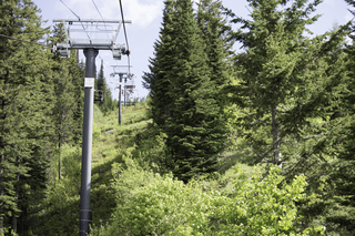 Filename=DSC_8795.jpg
Filesize=25536KiB
Dimensions=7360x4912
Date added=Sep 21, 2019 DSC_8795.jpg