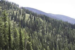 Filename=DSC_8796.jpg
Filesize=23850KiB
Dimensions=7360x4912
Date added=Sep 21, 2019 DSC_8796.jpg